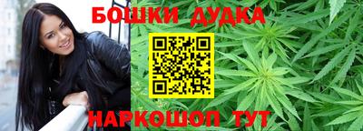 крисы Кулебаки