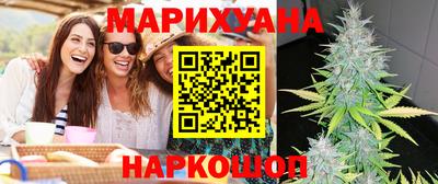 крисы Кулебаки