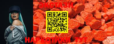 крисы Кулебаки