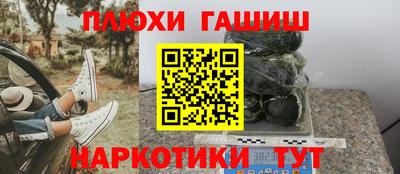 крисы Кулебаки