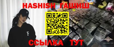 крисы Кулебаки