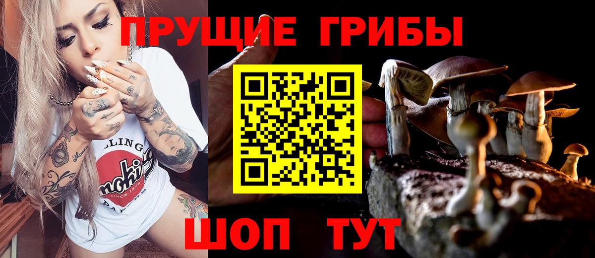 Псилоцибиновые грибы прущие грибы Еманжелинск