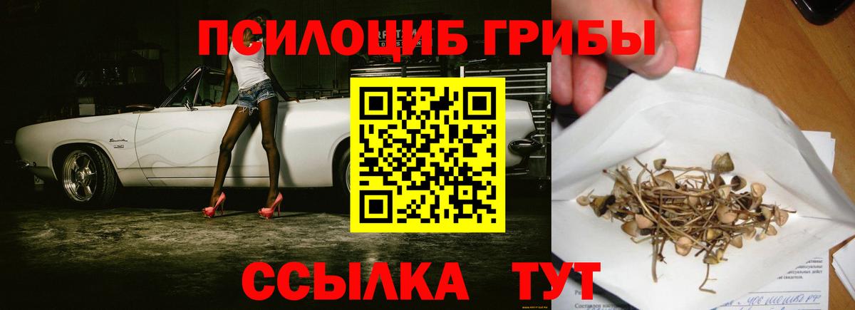 Псилоцибиновые грибы мицелий  Галлюциногенные грибы Psilocybine cubensis  Еманжелинск  Вход с VPN 
